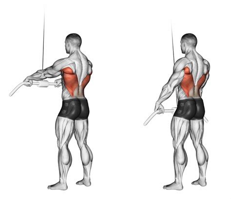 Best Standing Cable Pullover Angle for Activating Lats