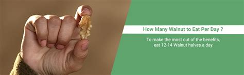 Nutraj California Walnuts Kernels Giri 1Kg (250g x 4) Box|Akhrot|Dry ...