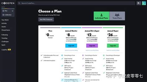 How to Export URL Code Pen 的图像结果