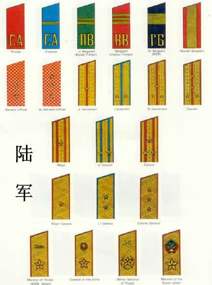 一级指挥员相当于军衔级别一级指挥员相当于什么军衔2022已更新今日