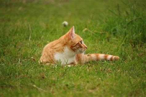 Image result for When to Use NoSQL vs SQL
