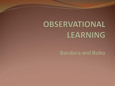 Observational Learning 的图像结果