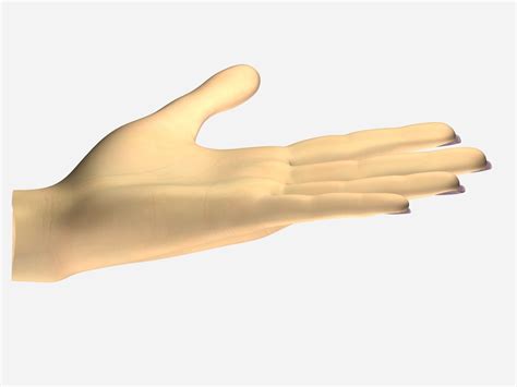 Image result for Female Hand 3D Modeling