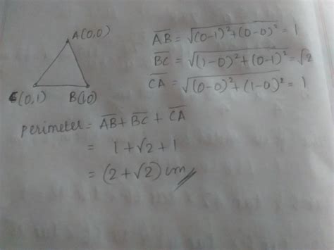 The perimeter of the triangle formed by (0,0),(1,0),(0,1) in units ...