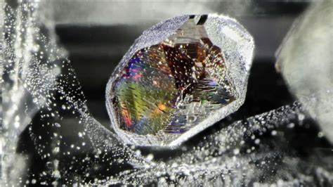 15 Famous Macro Photographers for Inspiration in 2026