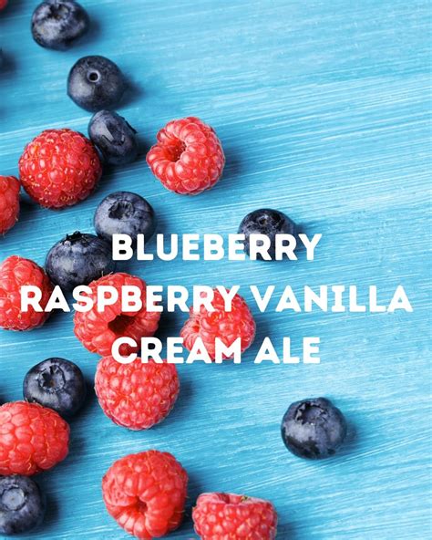 Tiny Tap: Blueberry Raspberry Vanilla Cream Ale , The Elizabeth Brewing ...