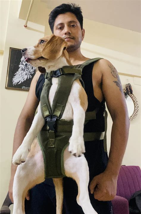 PetBonus Pet Front Dog Carrier Backpacks, Adjustable Dog Backpack ...