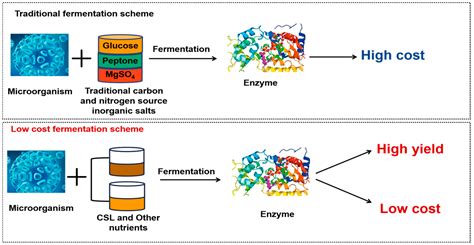 Corn Steep Liquor as an Efficient Bioresource for Functional Components ...
