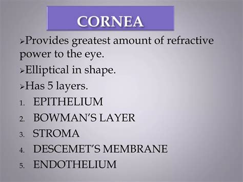 Layers of cornea | PPTX