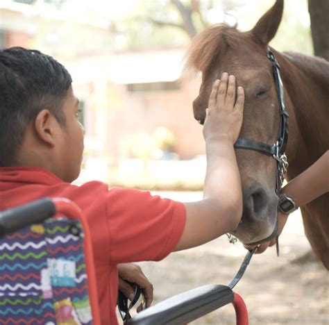 Animal Angels | India's Leading Animal Assisted Interventions Programe ...