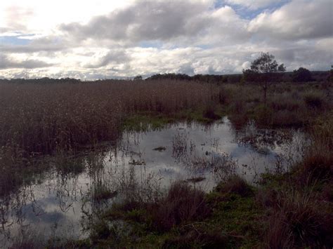 BUDJ BIM TOURS (2026) All You Need to Know BEFORE You Go (with Photos ...