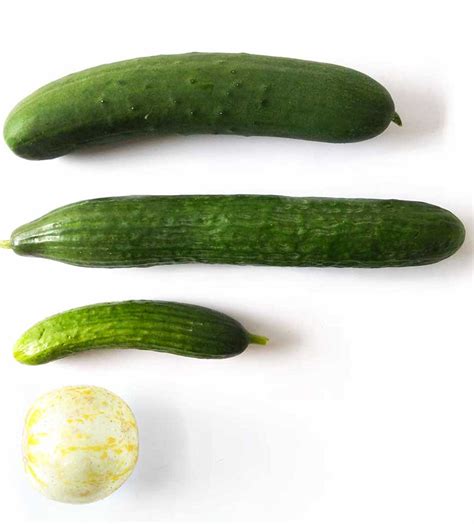 Why cucumbers are bitter & how to fix it - Ask the Food Geek