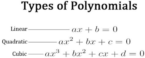 A Level Maths Polynomial 的图像结果