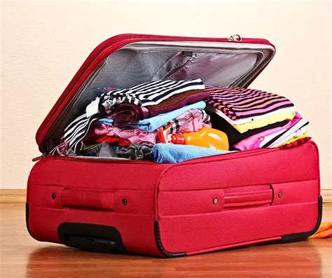 Using Packing Cubes 的图像结果