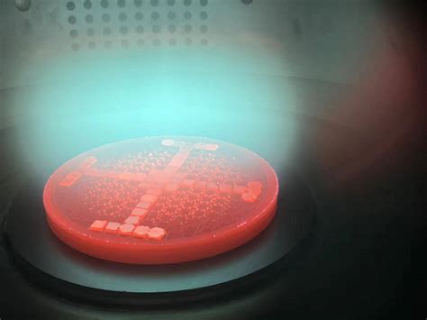 Image result for Clamshell MPCVD