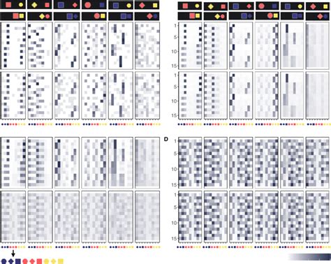 Image result for Generalization Patterns