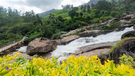 Best Places To Visit In India During Monsoon 2024 To Enjoy The Rainy Season
