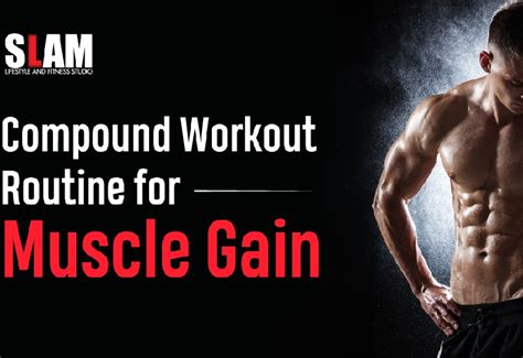 Muscle Building Workout 的图像结果