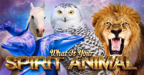Image result for Clutterbug Quizzes