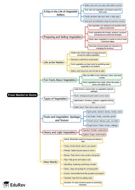 From Market to Home Mind Map - Class 4 PDF Download