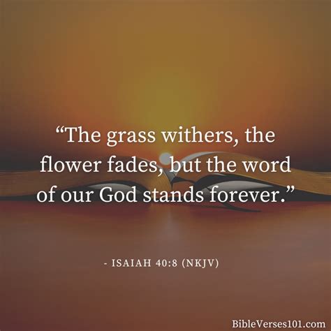 53+ Bible Verses About Nature