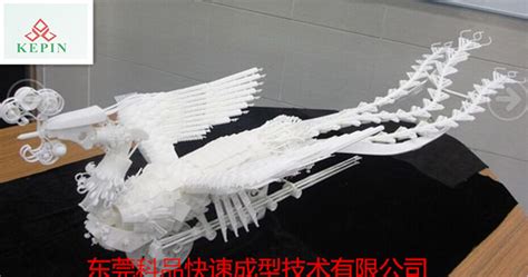 2019年中国技能大赛—“创想杯”3D打印造型技术大赛东部赛区落幕_中国3D打印网