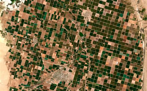 Vector and Raster Data Model 的图像结果