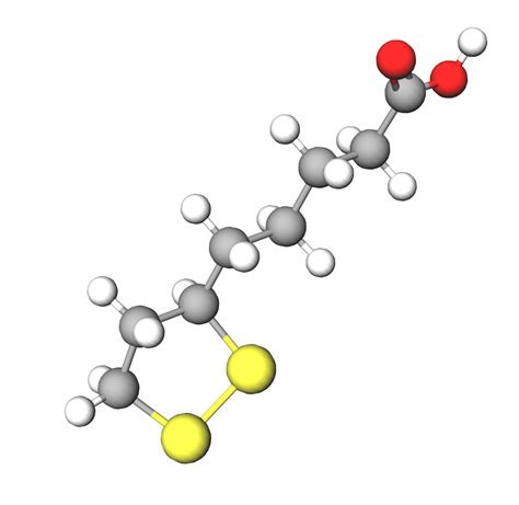 Alpha Lipoic Acid | Thioctic Acid | Cosmetic Ingredients Guide