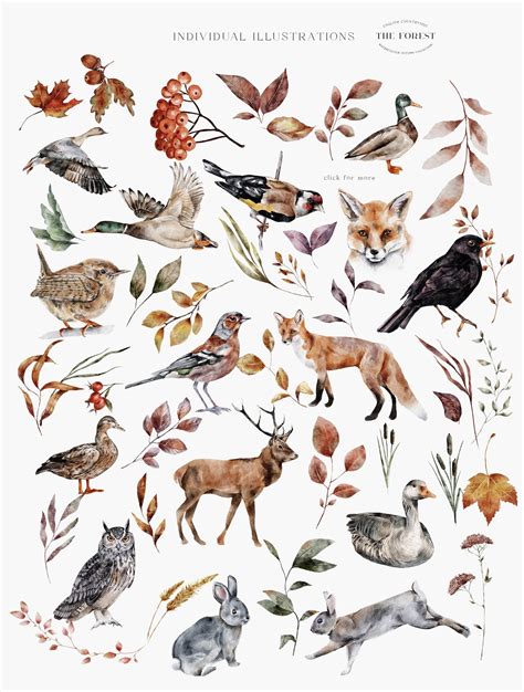 Woodland Creatures, Woodland Animals, Woodland Art, Forest Animals ...