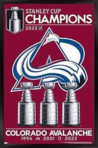 Trends International NHL Colorado Avalanche - 2022 Commemorative ...