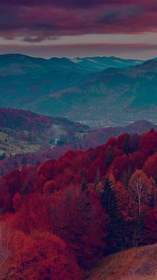 Gold Fall Wallpaper Iphone 8 Plus by Fall Mountain Tree Nature Beautiful Iphone 6 Gold Fall Wallpaper Iphone 8 Plus
