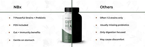Nutrabox Gut Health Capsules - Pre & Probiotics – Nutrabox India