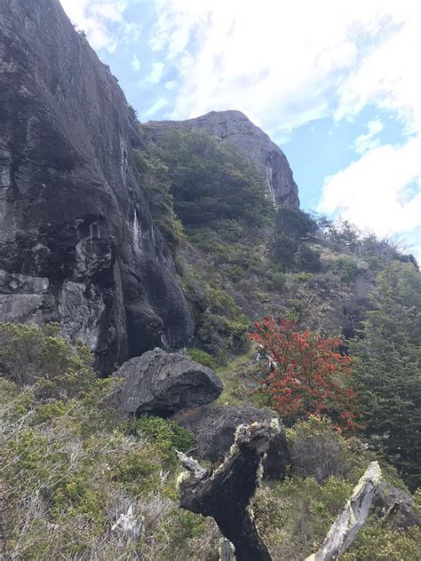 CHELENKO HOT SPRINGS & LODGE (Puerto Rio Tranquilo) - Lodge Reviews ...