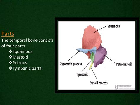 Radiological anatomy of_temporal_bone[1] | PPTX