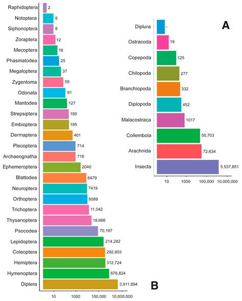 Towards a Taxonomy Machine: A Training Set of 5.6 Million Arthropod Images
