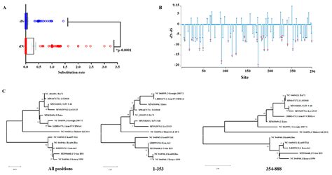 Deletion of the EP296R Gene from the Genome of Highly Virulent African ...