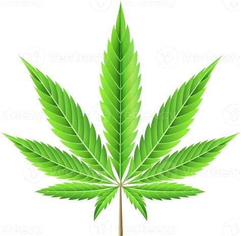 Marijuana leaf illustration 19615937 PNG