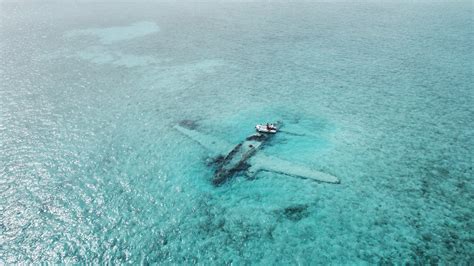 Divers Visiting the Wreck of the Pablo Escobar Sunken Plane Near the ...