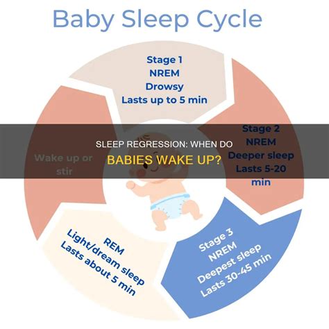 Sleep Regression: When Do Babies Wake Up? | ShunChild