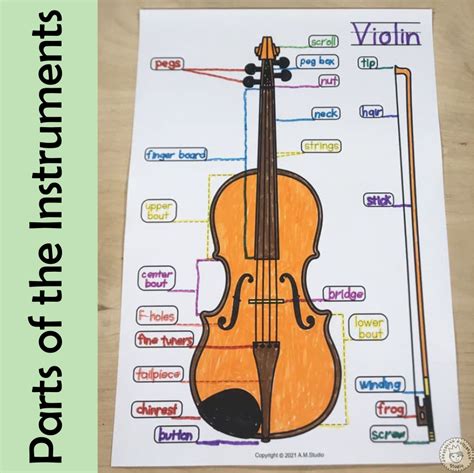 String Family Instruments Coloring Pages | Parts of the String Instruments | Made By Teachers