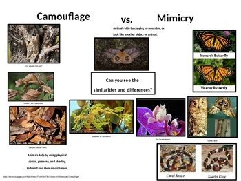Image result for Applications of Greedy Algorithm