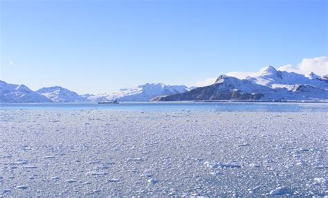 Image result for Ice Types Polar Code