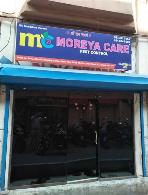 Reliable Pest Control Solutions in Thane | Moreya Care Pest Control