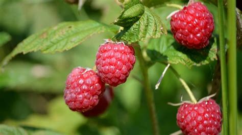 Blog Details | iLearn - EHF Learning Management System LMS