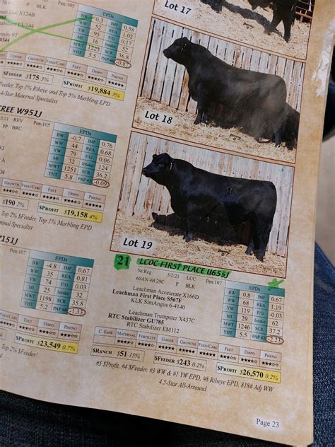 Leachman Cattle posted on LinkedIn