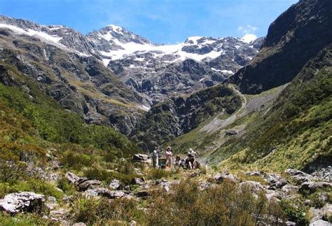 National Parks in New Zealand | 100% Pure New Zealand