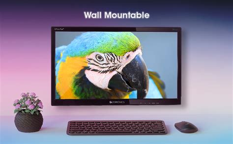 ZEBRONICS Zeb-A20HD 19.5 Inch (49.5 cm) 1600 X 900 LED Monitor, HD ...