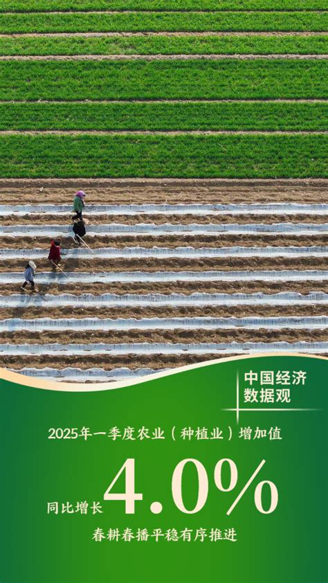 经济 的图像结果