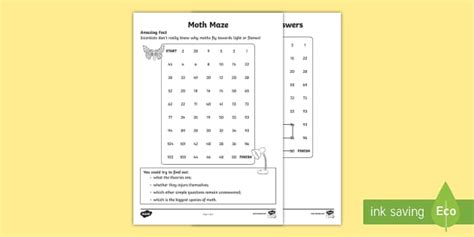 Moth Counting in 2s Maze Worksheet / Worksheet