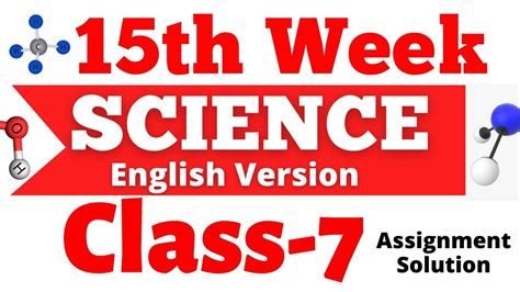 Image result for Assignment Class 7 Week 13